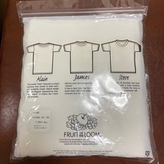 FRUIT OF THE LOOM 【金子・高田コラボ】Tシャツ　セットの画像