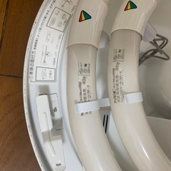 電気