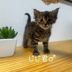 公衆トイレに捨てられた兄妹
