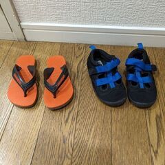 havaianas 