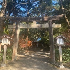 【宮崎市役所周辺】朝のお散歩クラブ🏃‍♀️👞 - 宮崎市
