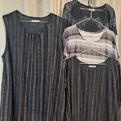 【3L 大きいサイズ4枚セット】ひらひら袖＆ノースリーブ