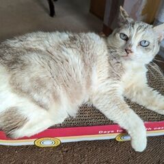 ♡一緒にのんびり暮らしませんか？♡