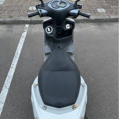 シグナスX125cc
の画像