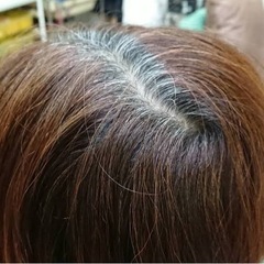 [急募]5/31 1000円カラーリタッチモデル探してます！