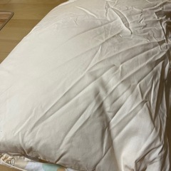 未使用掛け布団×薄布団シーツありの画像
