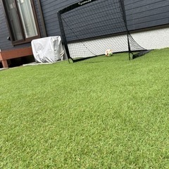【未使用】サッカーゴール　折りたたみの画像