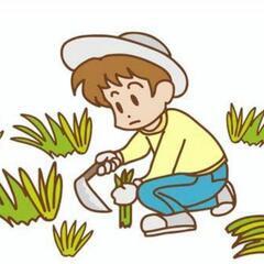 できることなら極力お手伝いします！