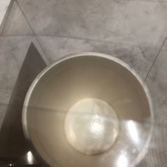 カップヌードル　カップだけ　8個入り　ミュージアム　ノベルティの画像