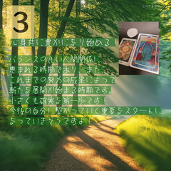 【青空鑑定】晴れた日にタロットカード占い - その他