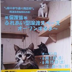 6月15日ふれあい型譲渡スペースをオープンします。