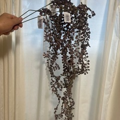 室内装飾品
