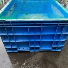 ジャンボックス サンコー　1000L ブルー　サンボックス　錦鯉　金魚　大型水槽 水槽 コンテナ の画像