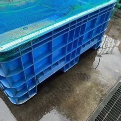 ジャンボックス サンコー　1000L ブルー　サンボックス　錦鯉　金魚　大型水槽 水槽 コンテナ の画像