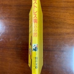 筒井末春　ストレス病こうして防ぎ、こうして直すの画像