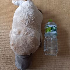 カモノハシ 大きなぬいぐるみ 抱き枕 かものはし 可愛い