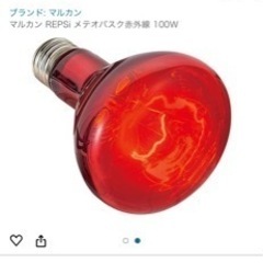 バスキングスポットランプ 100W／2個セットの画像