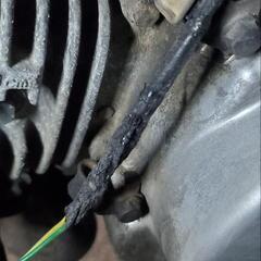 燃えたカブの画像