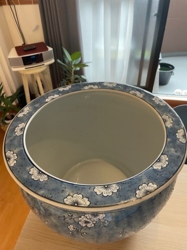 睡蓮鉢　火鉢　メダカビオトープ