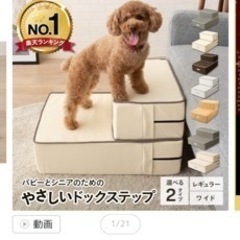 ドックステップの画像