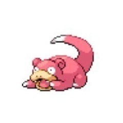 石垣島でポケカしましょ😈