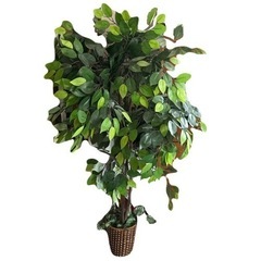 人工観葉植物♥️ ベンジャミン　150cm 鉢付き　インテリア　お洒落の画像