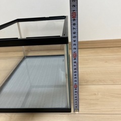 【譲り先確定済】水槽の画像