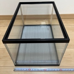 【譲り先確定済】水槽の画像