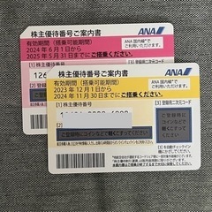 ANA 株主優待 株主割引券 株主優待券 2枚