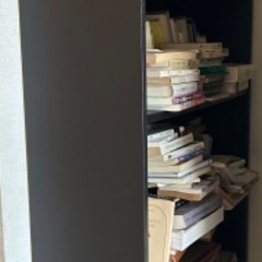 IKEA BILLY ビリー本棚　(本付けない！)