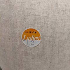 TOKYO kiiya キイヤ トルソー芯地張りボディL2の画像
