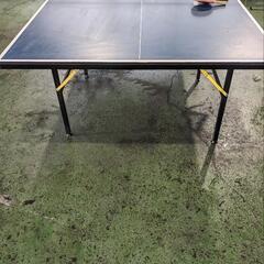 チケット スポーツ