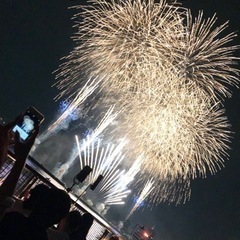 STAR ISLAND チケットの画像