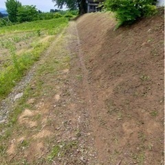 ラスト募集草刈り手伝ってください‼️の画像