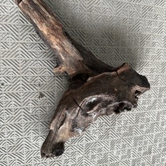 流木 メダカ アクアリウム　熱帯魚　金魚の画像