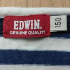 ボーダーTシャツ　150　青　EDWINの画像