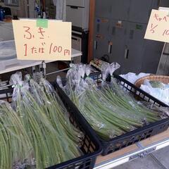 雨天決行6月2日日屋根付ガレージセール😊