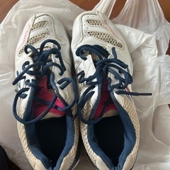 バドミントンシューズ23センチの画像