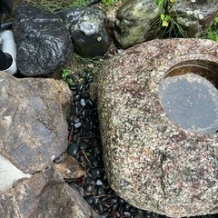 【一旦中断します】水鉢の画像