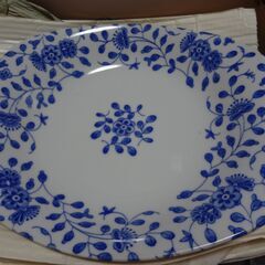 カレー皿 スプーン　５セットの画像