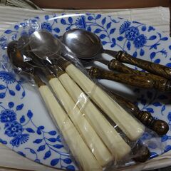 カレー皿 スプーン　５セットの画像