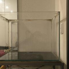 60cm オールガラス水槽と水槽台のセット