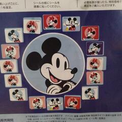 MEYERミッキーシール