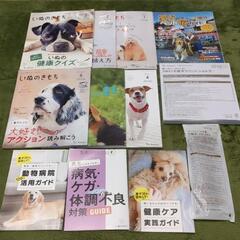いぬのきもち③
