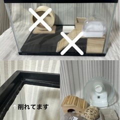 定価￥7000相当　ハムスター用品