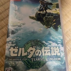ゲームソフト
