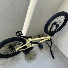  BMX　ウィーザピープル