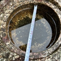 【一旦中断します】水鉢の画像