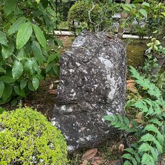 庭石　引き取っていただけませんか➀の画像