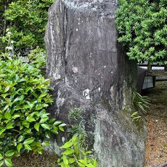 庭石　引き取っていただけませんか②